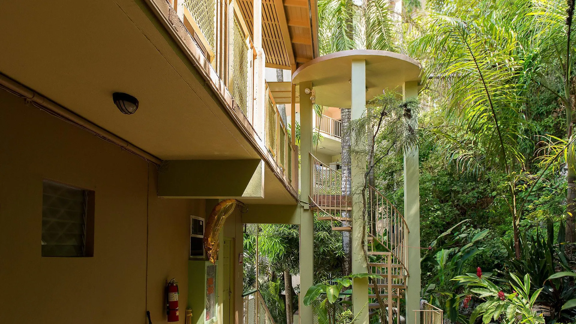 Rooms On The Hip Strip - Montego Bay